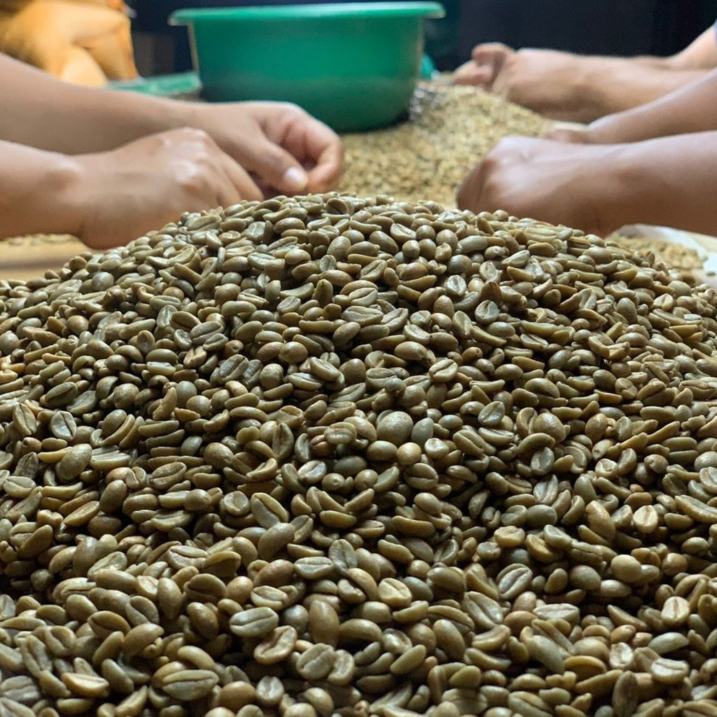 Las Dericias/Nicaragua/Natural/深煎り