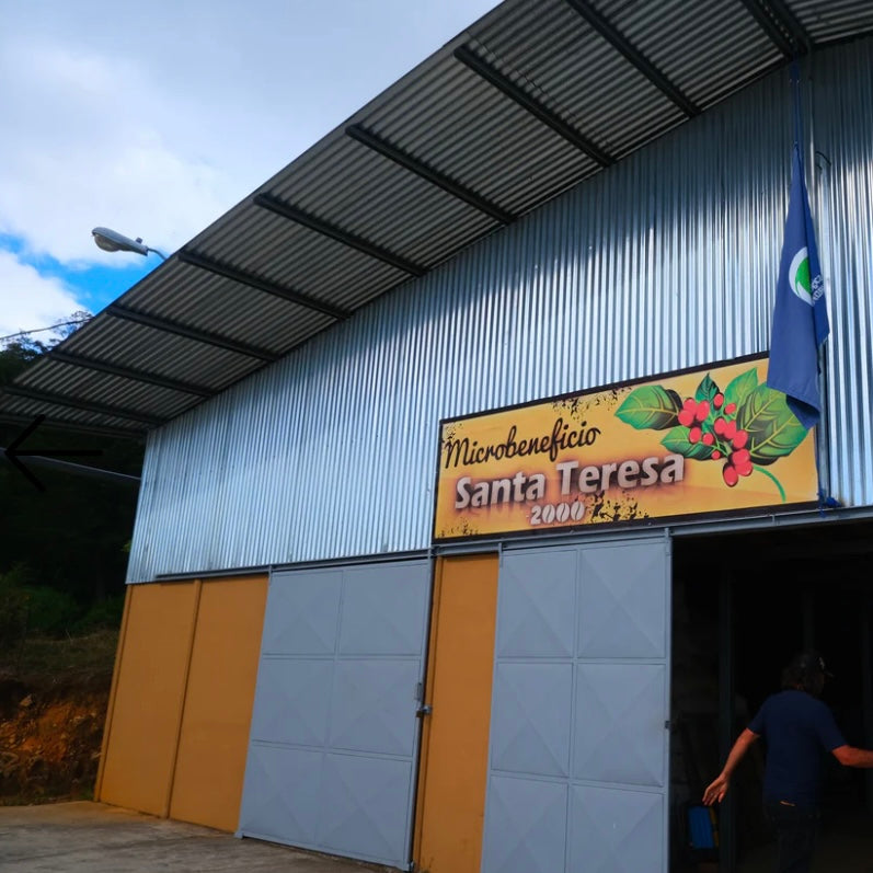 Roger Urena/Costa Rica/white Honey