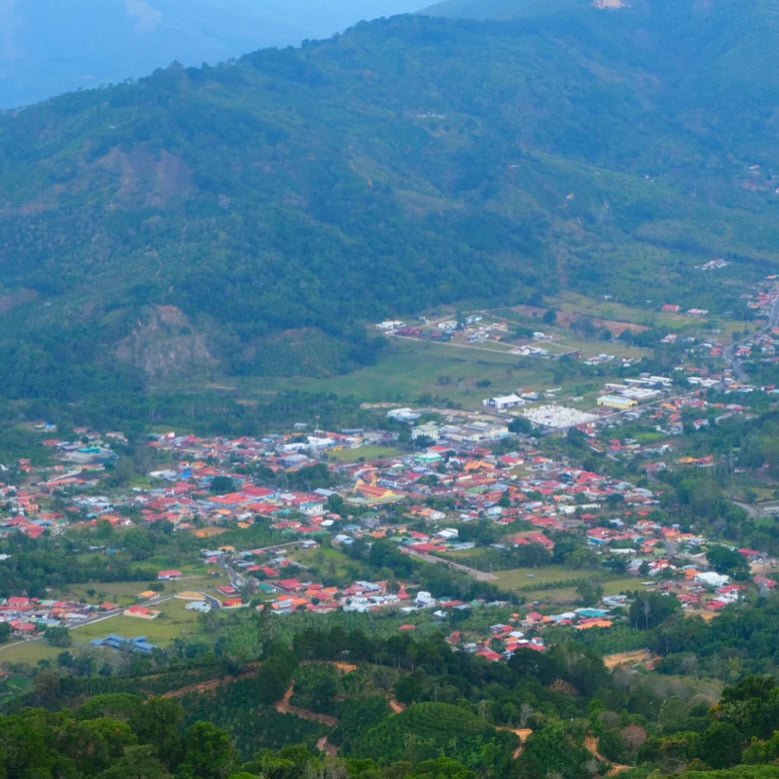 Roger Urena/Costa Rica/white Honey